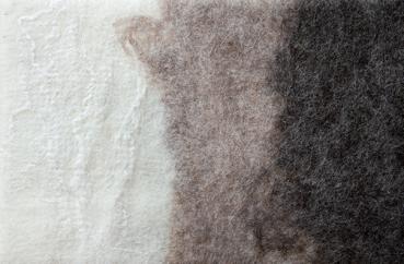 Gefilztes Wandelement